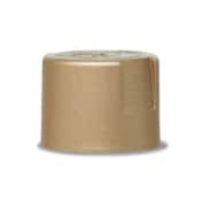 Spray Paint The Home Depot